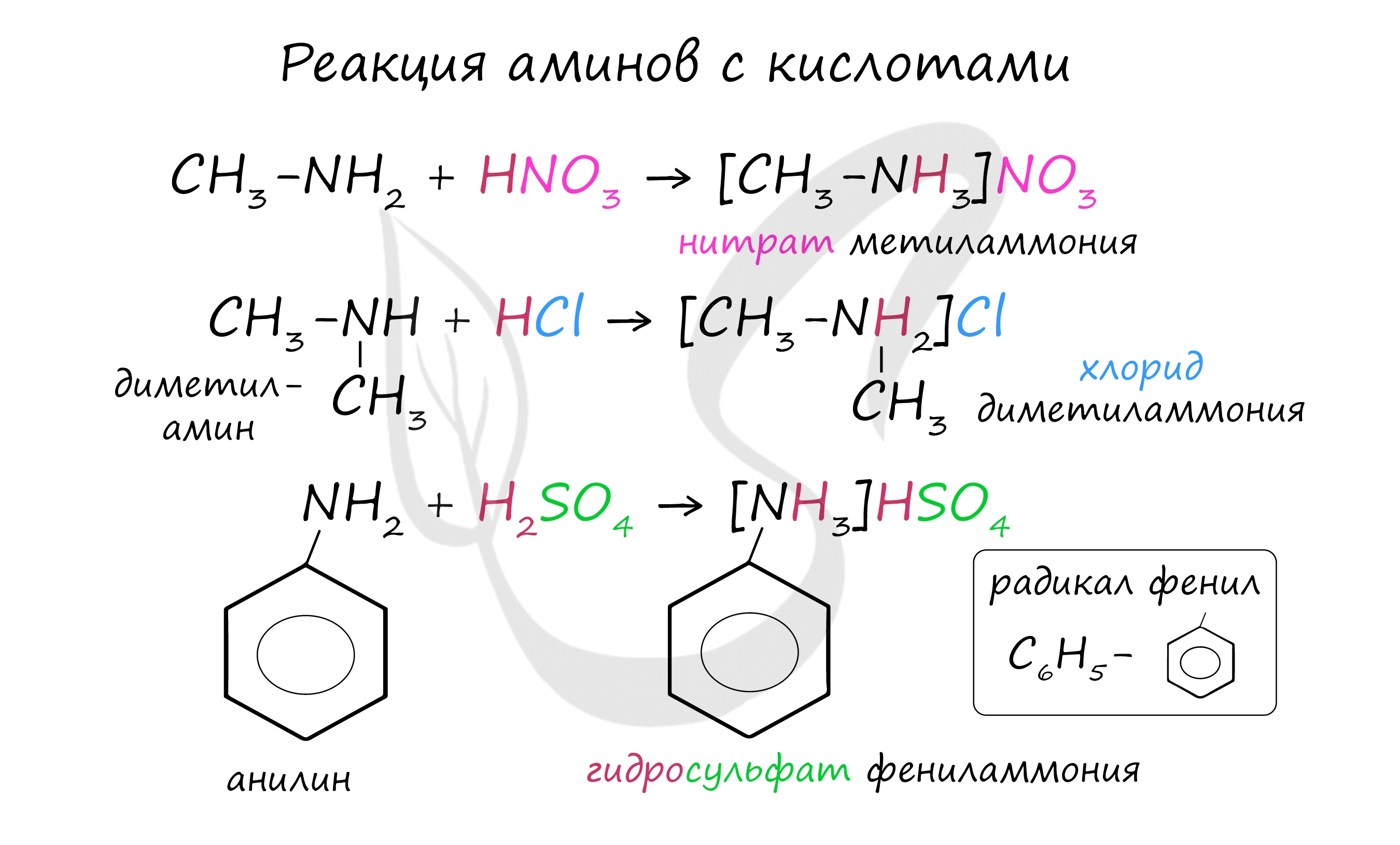 Реакции аминов с кислотами