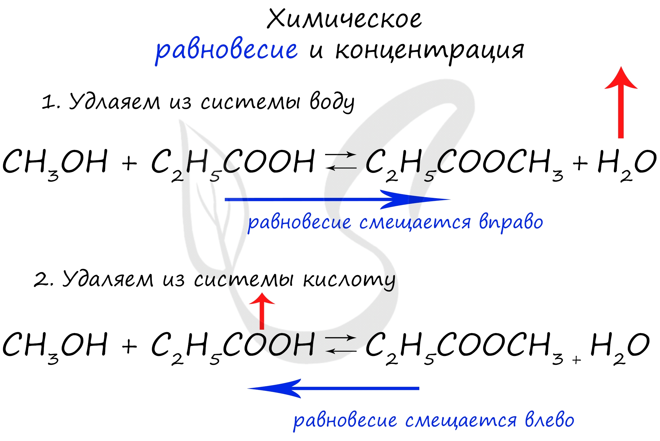 Химическое равновесие и концентрация