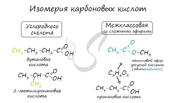 Изомерия карбоновых кислот