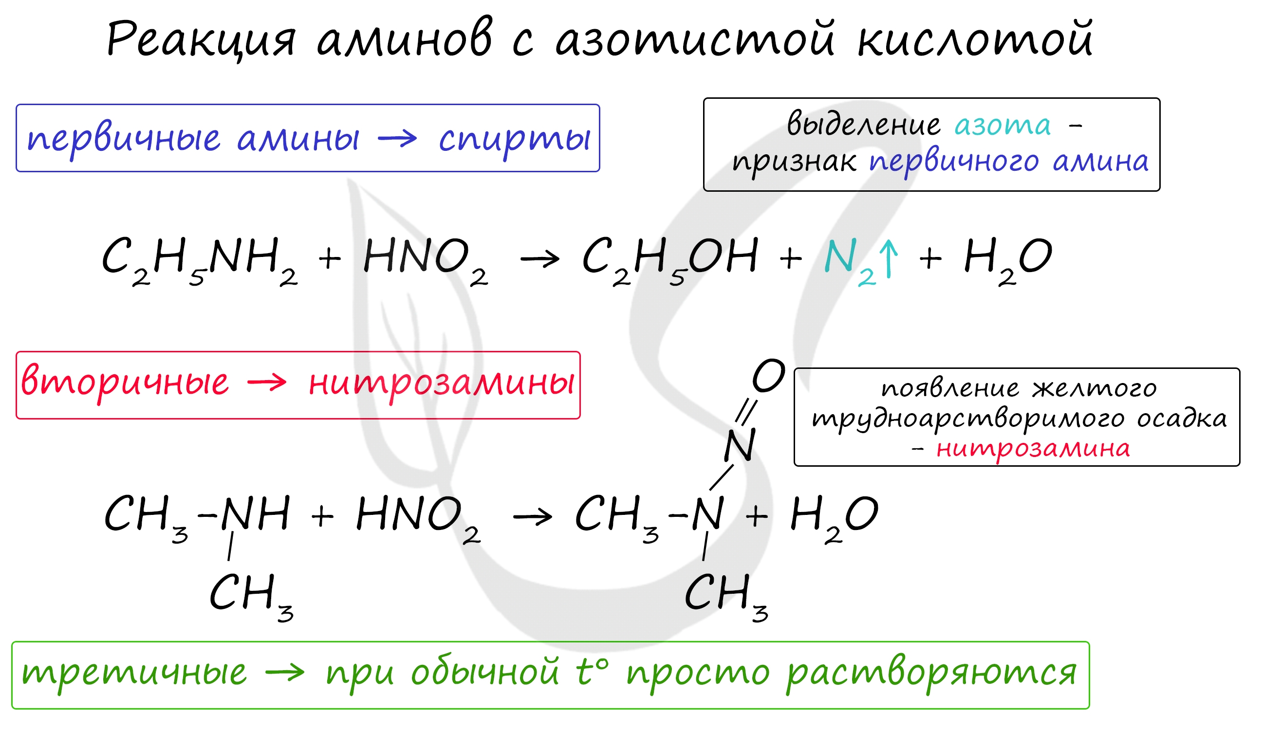 Реакции аминов с азотистой кислотой