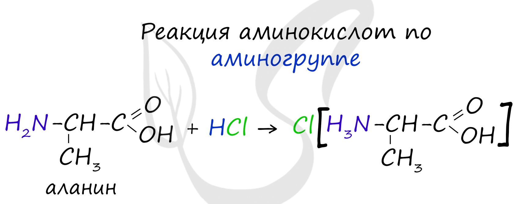 Реакция аминокислот с кислотами