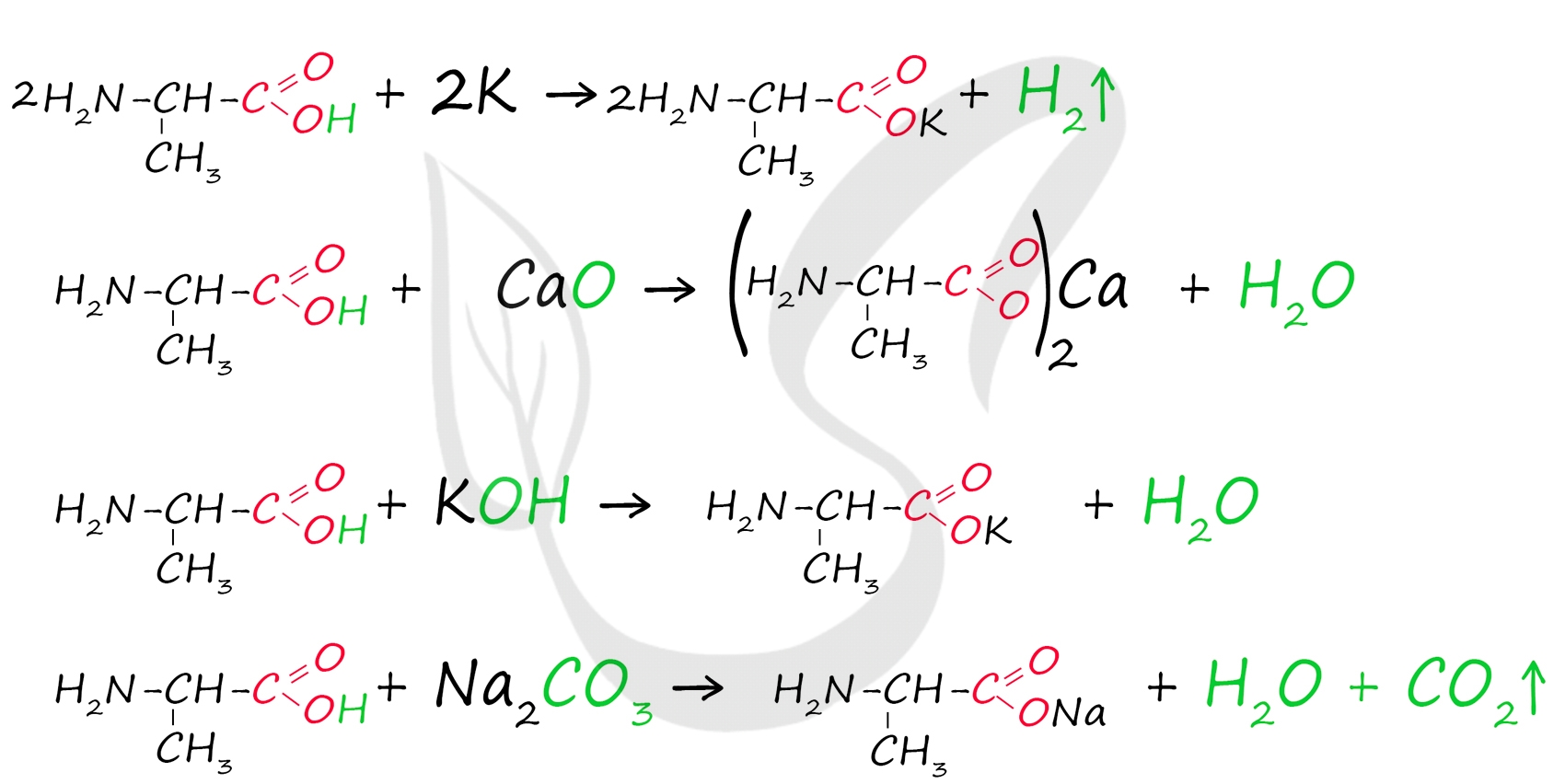 Реакции аминокислот с основаниями, металлами, основными оксидами и солями