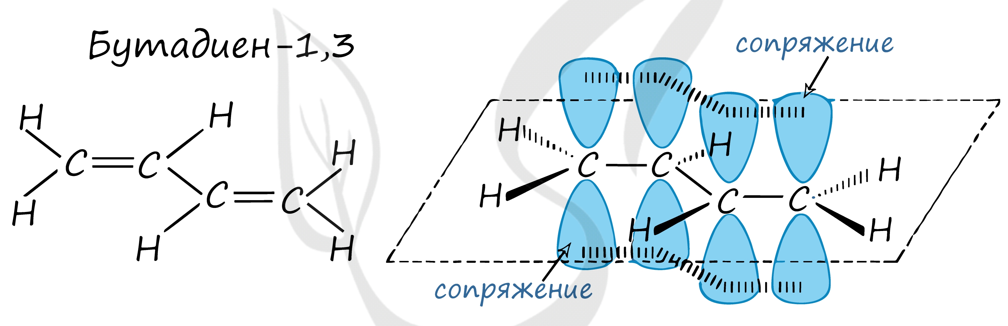 Сопряженные связи в молекулах. Строение молекулы бутадиена 1.3. Строение молекулы бутадиена. Электронное строение молекулы бутадиена-1.3. Схема бутадиена 1.3.