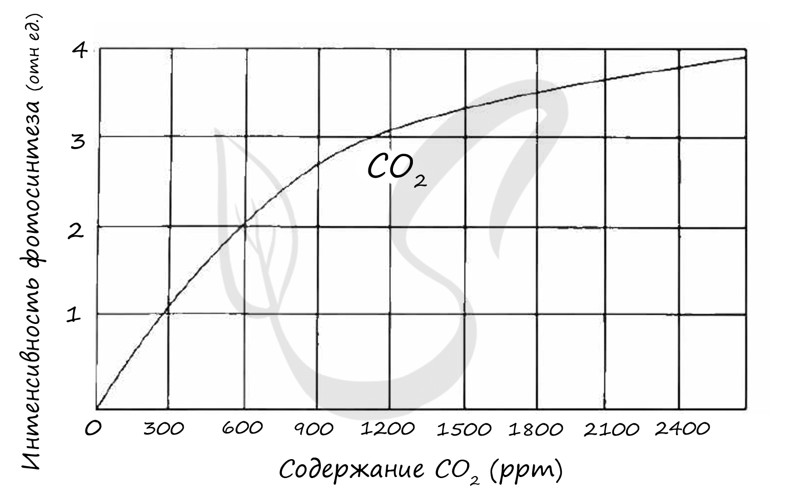 Зависимость интенсивности фотосинтеза от концентрации углекислого газа
